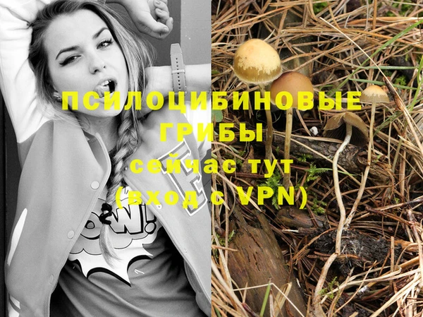 гидропоника Балахна